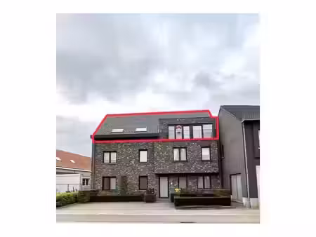 appartement à louer à rechtestraat 75 lille (rbx10203)