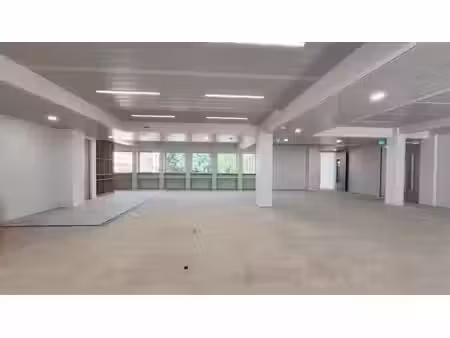 location locaux professionnels 290 m² à paris 15ème (75015)  17 739 €