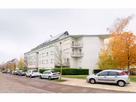 appartement t4