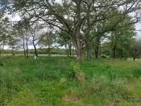 700 m² pour construire votre projet – aux portes de pontchât