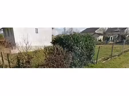 terrain