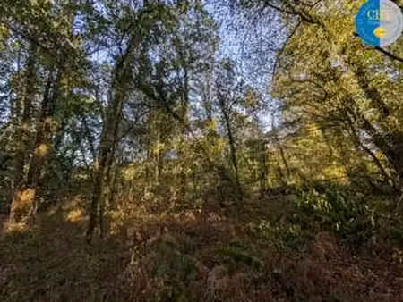 vente terrain à guer (56380) : à vendre / guer