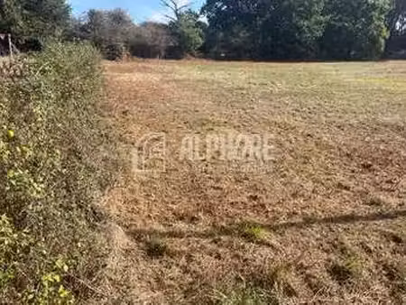 vente terrain à arthon-en-retz (44320) : à vendre / 799m² arthon-en-retz