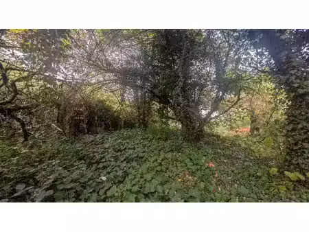 terrain à vendre