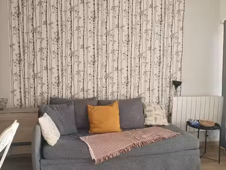 studio 1 pièce 26 m²