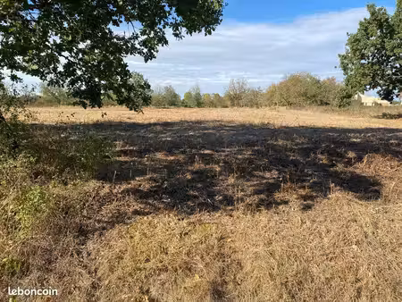 parcelle prairie arborée 1 hectare