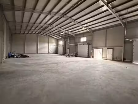 location entrepôt grisolles 82170 300m² à 470m²