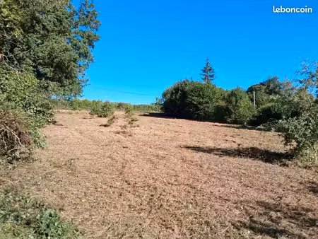 terrain viabilisé