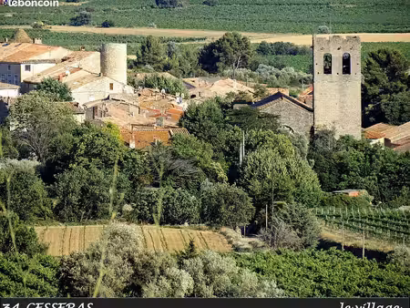 6000m² de parcelles de terres agricoles à cesseras