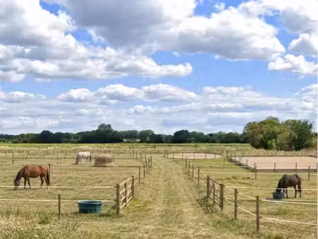 location de paddock