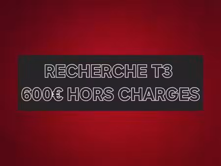 recherche logement t3