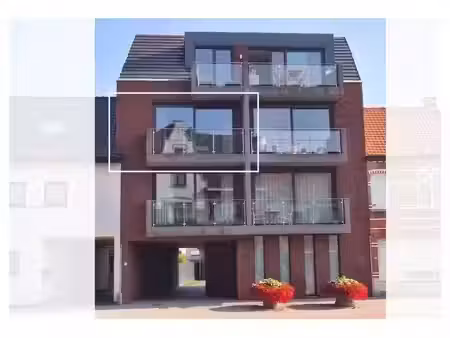 wild van vastgoed