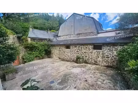 vente commerce dinan 22100 178m²