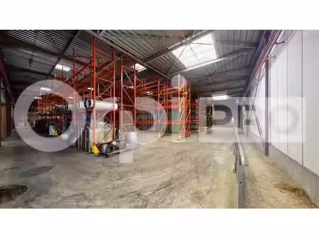 vente local d’activités saint quentin fallavier 38070 451m²