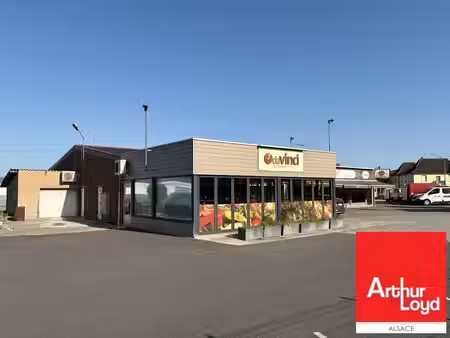 vente local d’activités sarre-union 67260 691m²