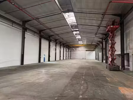 vente local d’activités strasbourg 67100 1800m²