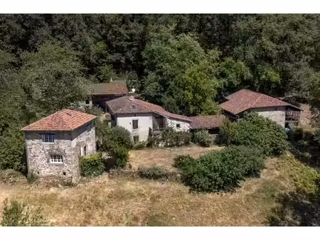 environs de figeac: ensemble de deux maisons en pierre et dépendances avec 20 hectares