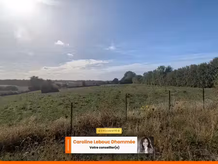 pavillon sur sous-sol complet avec prairie 6 000 m² — vue dégagée plein sud au calme absol