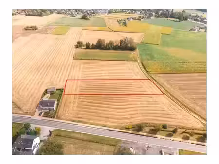 terrain agricole à vendre à bulsomstraat kampenhout (rbx10217)