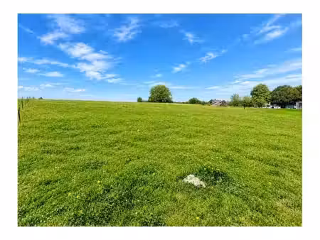 terrain agricole à vendre à grand'route ouffet (vbe75616)