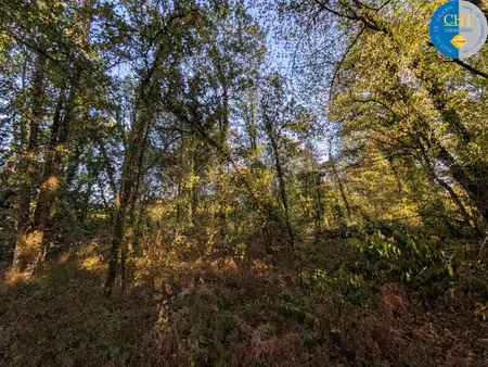 achat terrain 9 420m² guer 56380
