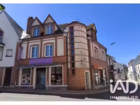 immeuble à sully-sur-loire (45600)