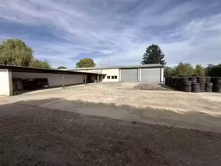 vente locaux professionnels 0 pièces 329 m² à schaffhouse-près-seltz (67470)  225 000 €