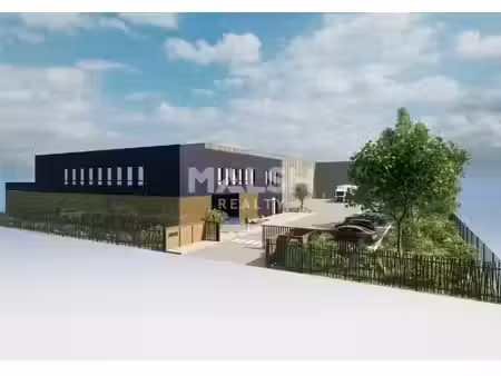 vente local d’activités genas 69740 700m² à 2800m²