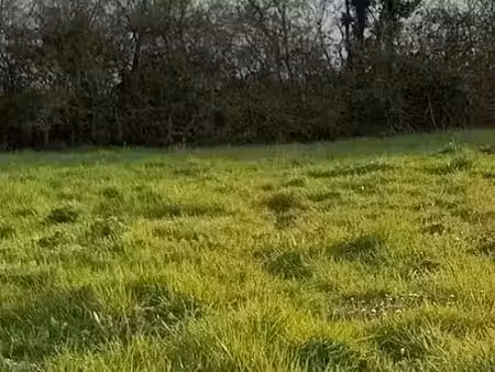 vente terrain 655 m² à pornic (44210)  182 750 €