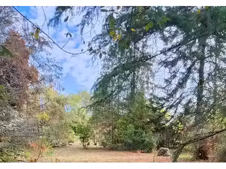 vente terrain 1230 m² à saint-aubin-de-médoc (33160)  239 000 €