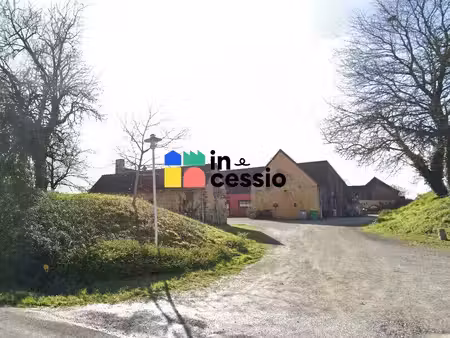 vente local d’activités le mans 72000 858m²