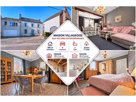 jolie maison villageoise offrant des volumes rares