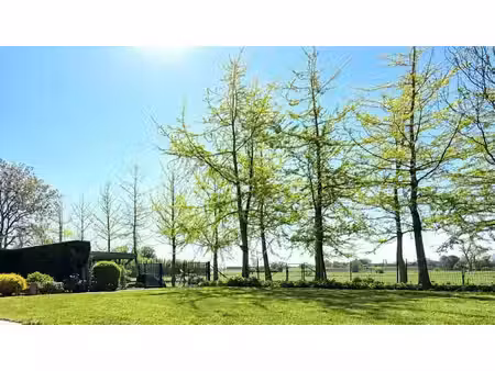 unieke eigendom met twee woningen én panoramisch zicht op...