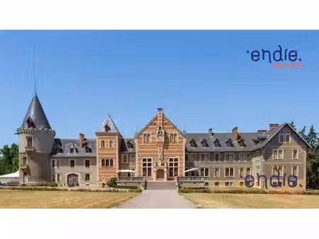 maison de luxe à vendre à lurcy-lévis