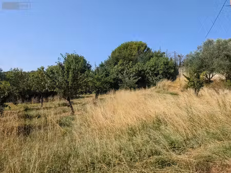 terrain à bâtir en vente montoison (26800)