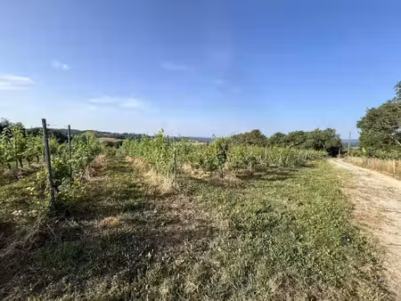terrain à vendre