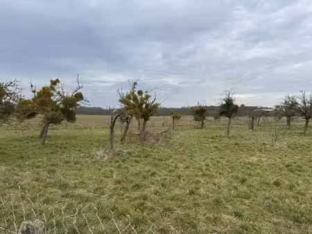 terrain constructible neuf à vendre