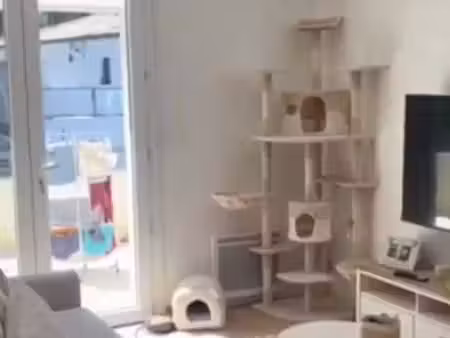 colocation à louer