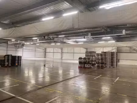 local d'activités à louer