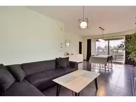 appartement te huur in mol met 2 slaapkamers