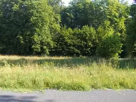 vente terrain à champigne (49330) : à vendre / champigne