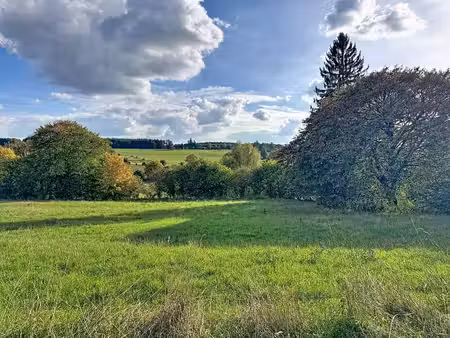 terrain à bâtir 4 façades à 5 min de houffalize.