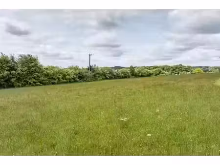 terrain d’exception au cœur de l’ardenne–censes (houffalize)
