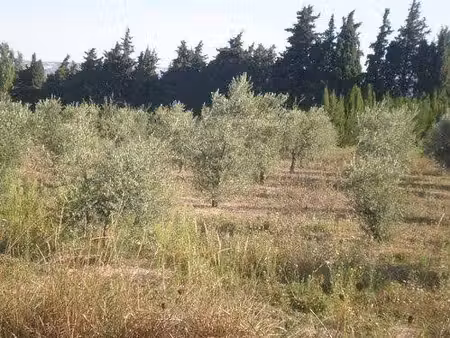 terrain constructible neuf à vendre