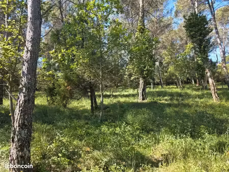terrain 847 m² gareoult