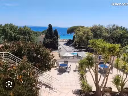 studio cavalière