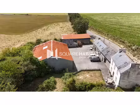 ensemble immobilier maisons +hangar irvillac