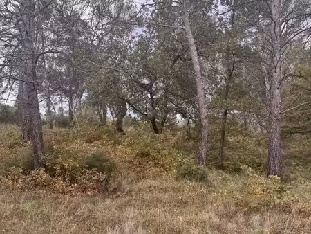 terrain constructible neuf à vendre
