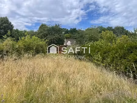 terrain 610 m2 constructible en lot arrière sans vis à vis dont 100 m2 d'allée - indépenda
