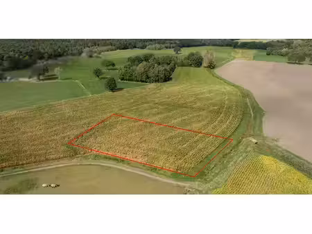 terrain agricole à vendre à hamont à partir de € 14.000